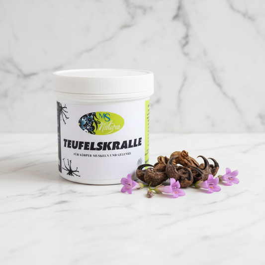 Teufelskralle Pflege Gel 200 ml